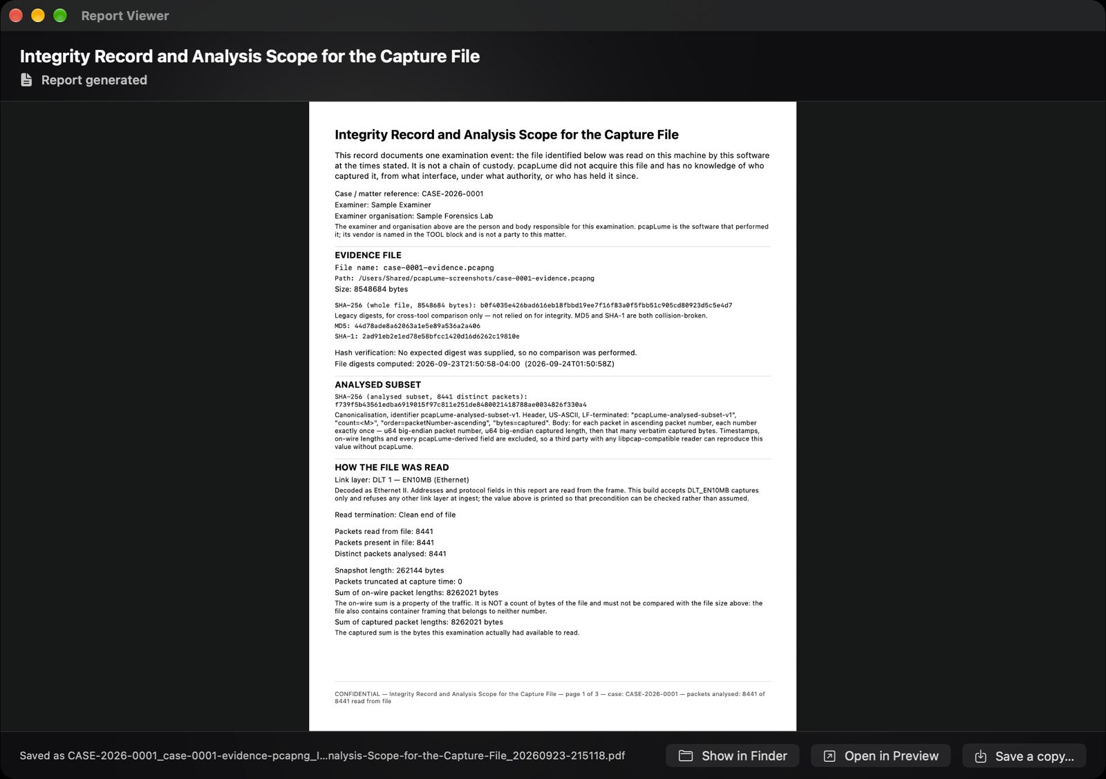 pcapLume Integrity Record report screenshot