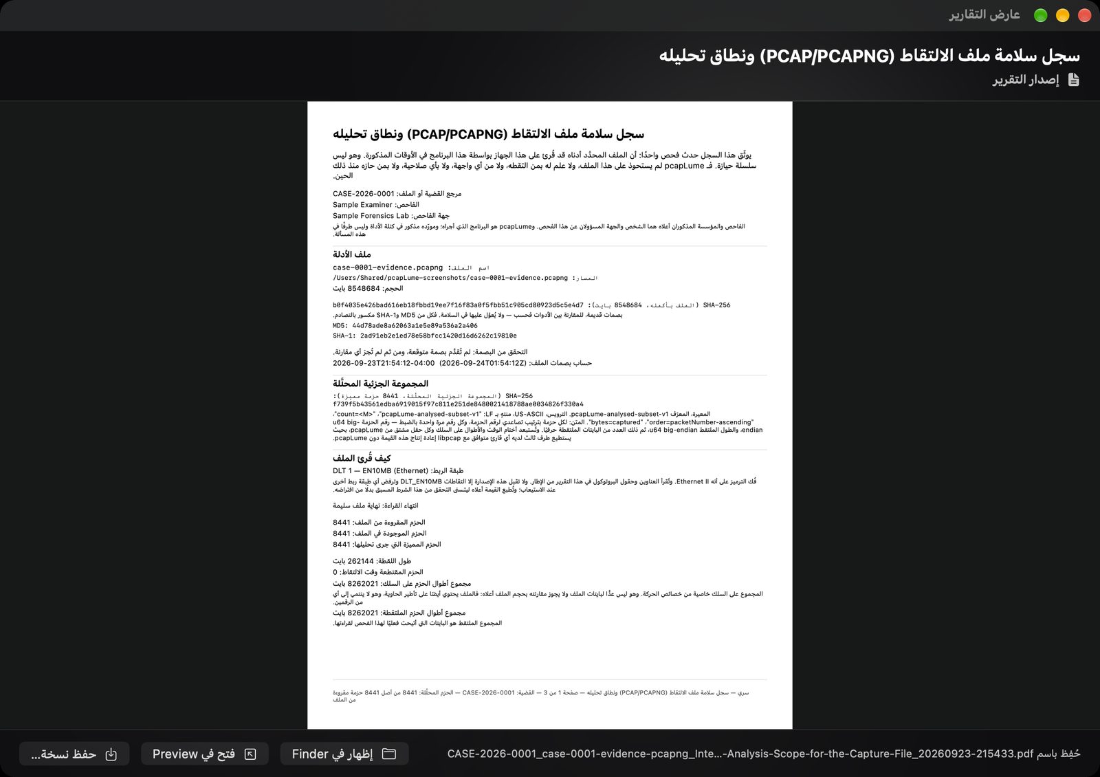 pcapLume Integrity Record report screenshot