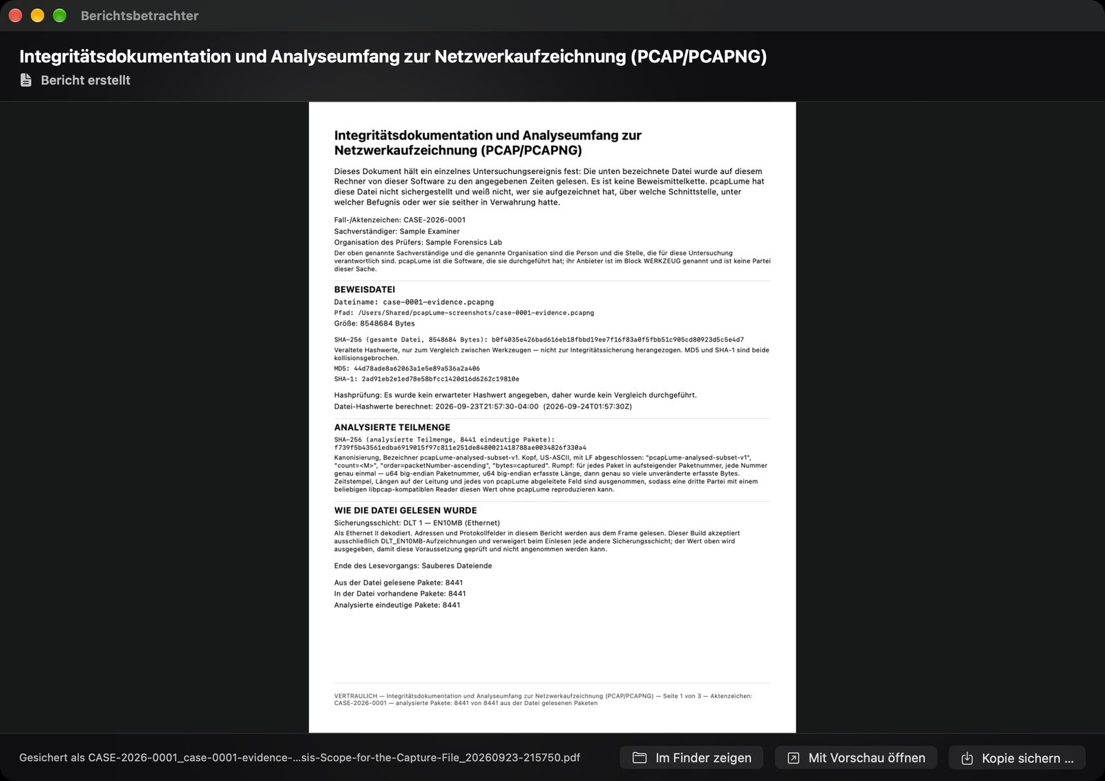 pcapLume Integrity Record report screenshot