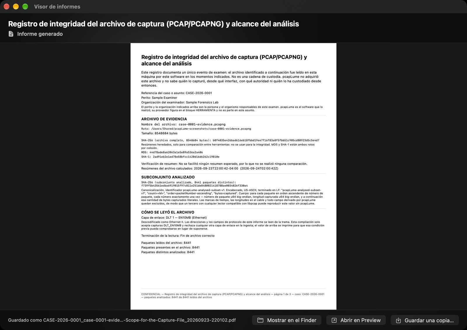pcapLume Integrity Record report screenshot