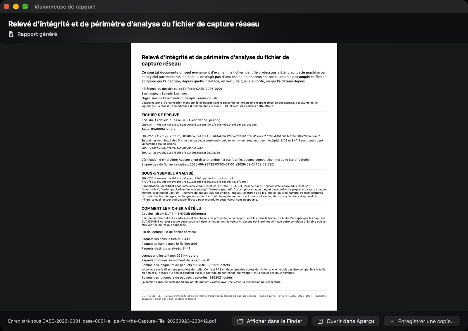 pcapLume Integrity Record report screenshot