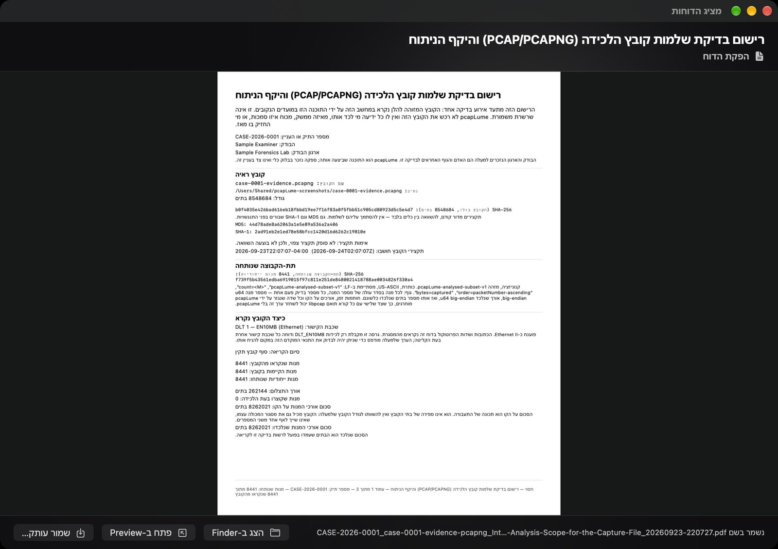 pcapLume Integrity Record report screenshot