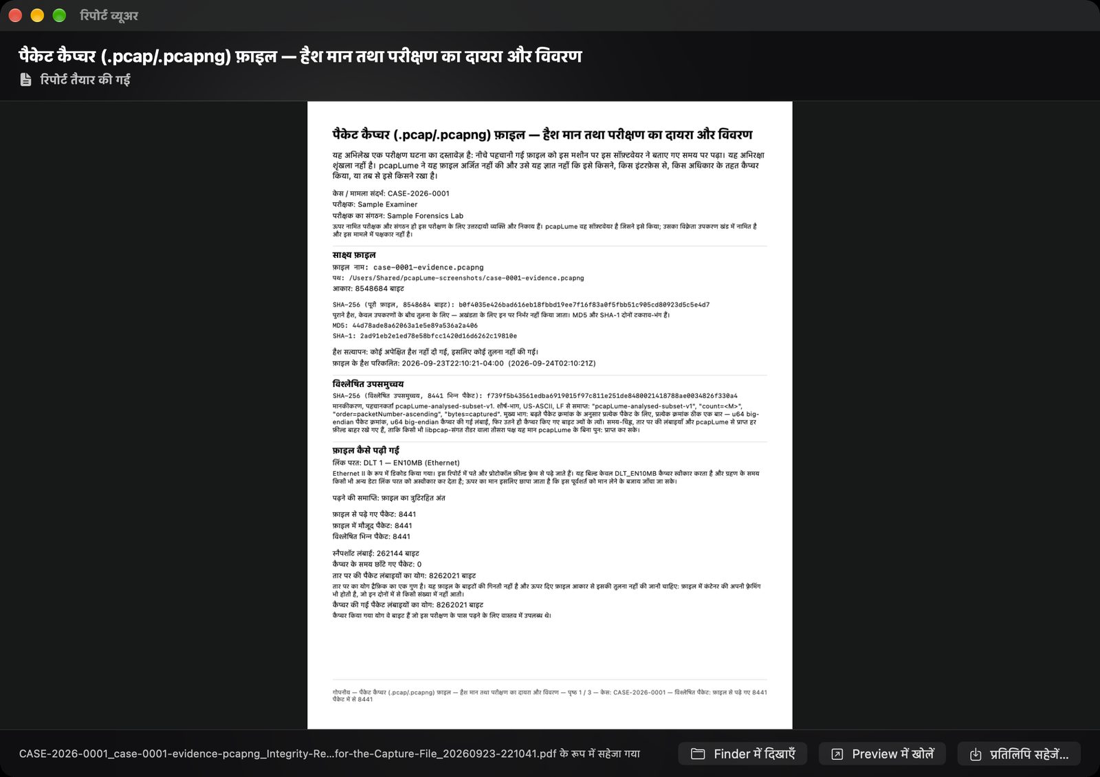 pcapLume Integrity Record report screenshot