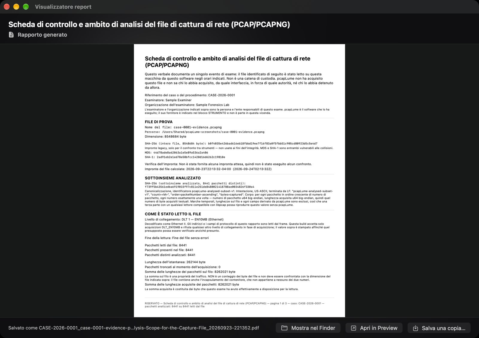 pcapLume Integrity Record report screenshot
