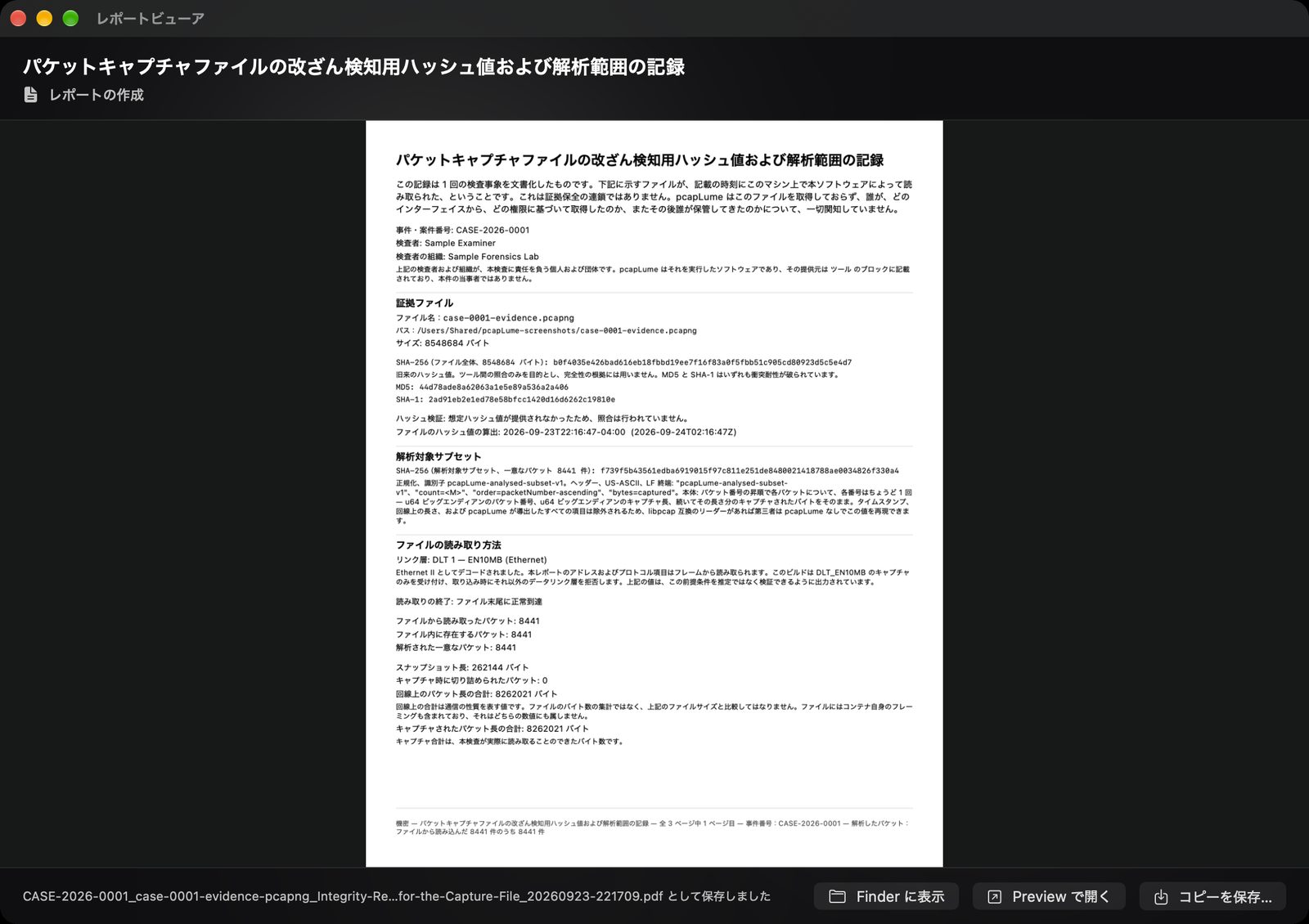 pcapLume Integrity Record report screenshot