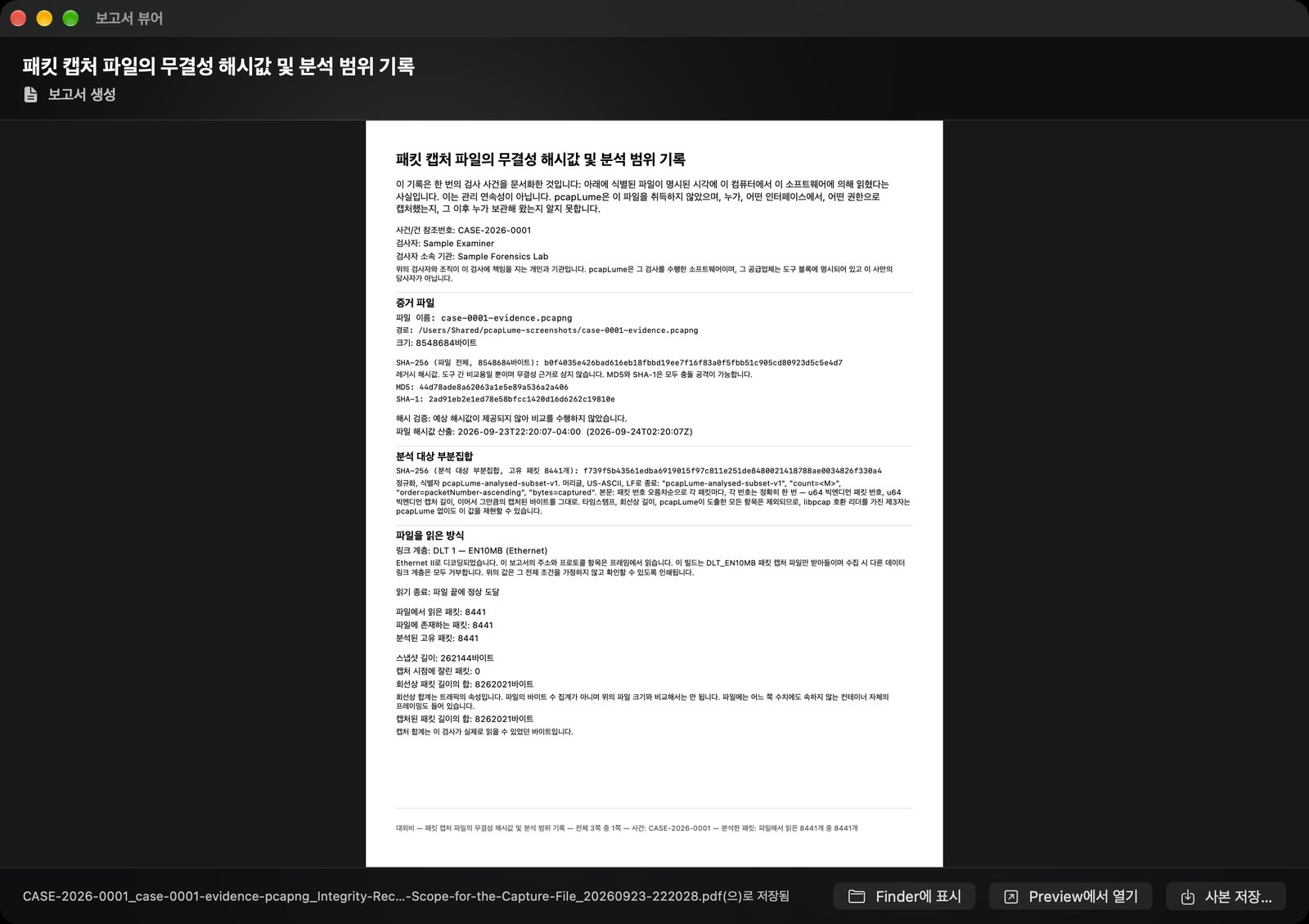 pcapLume Integrity Record report screenshot