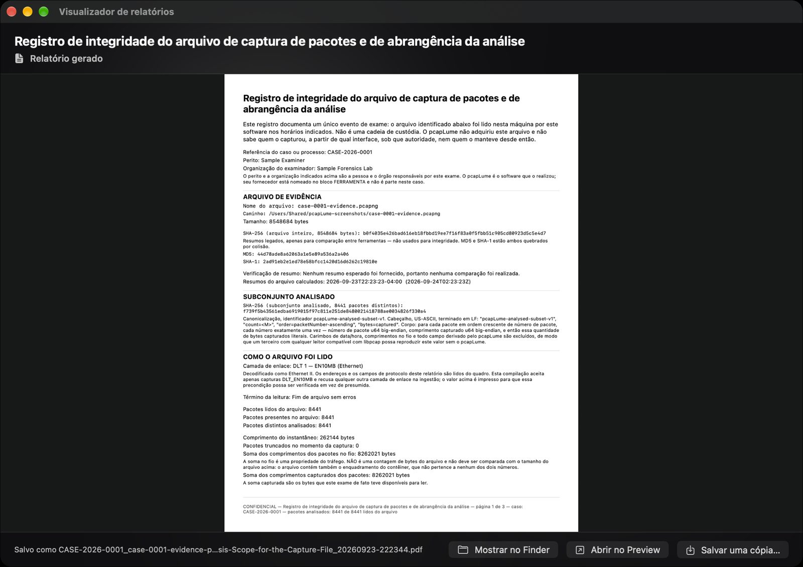 pcapLume Integrity Record report screenshot