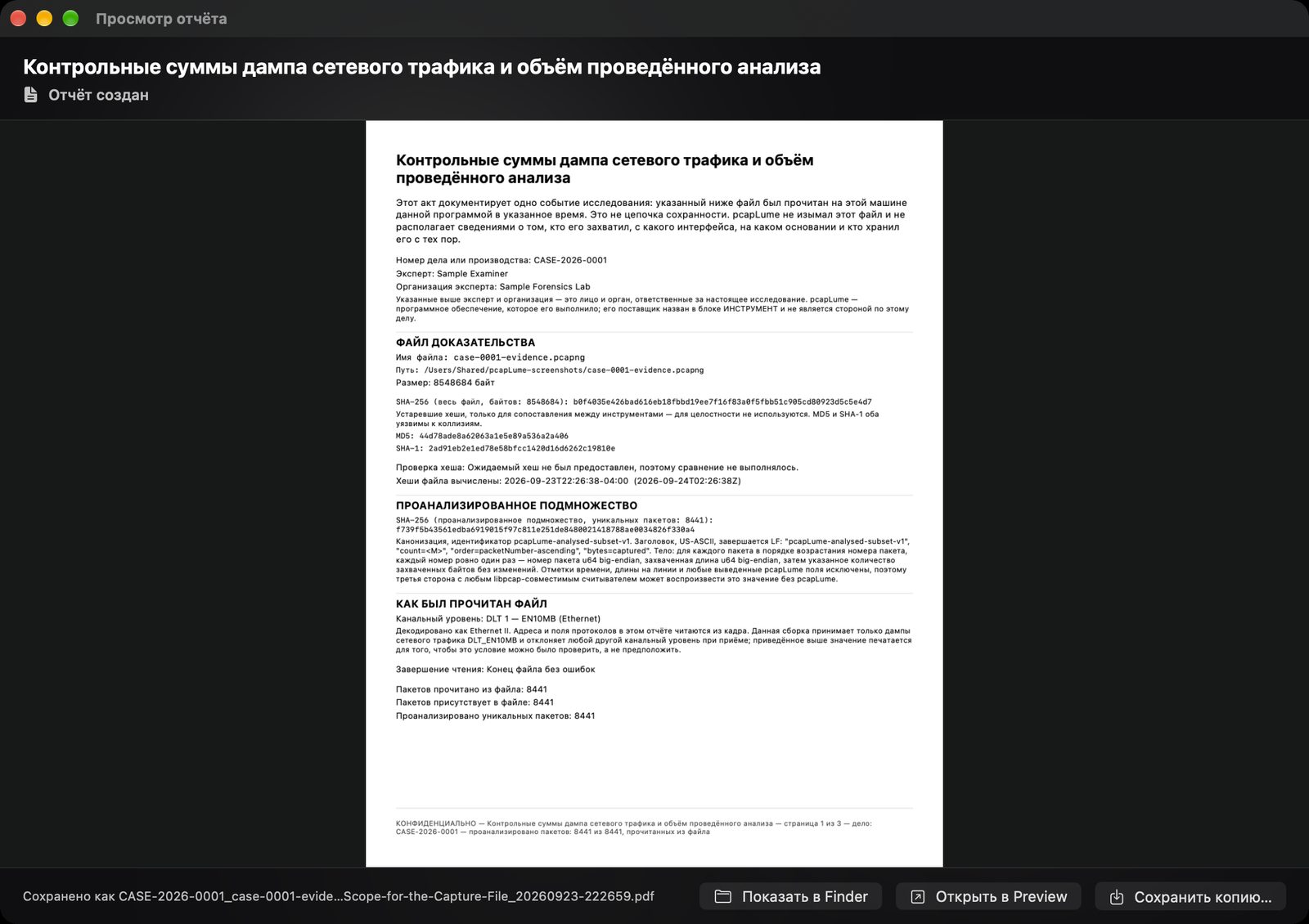 pcapLume Integrity Record report screenshot