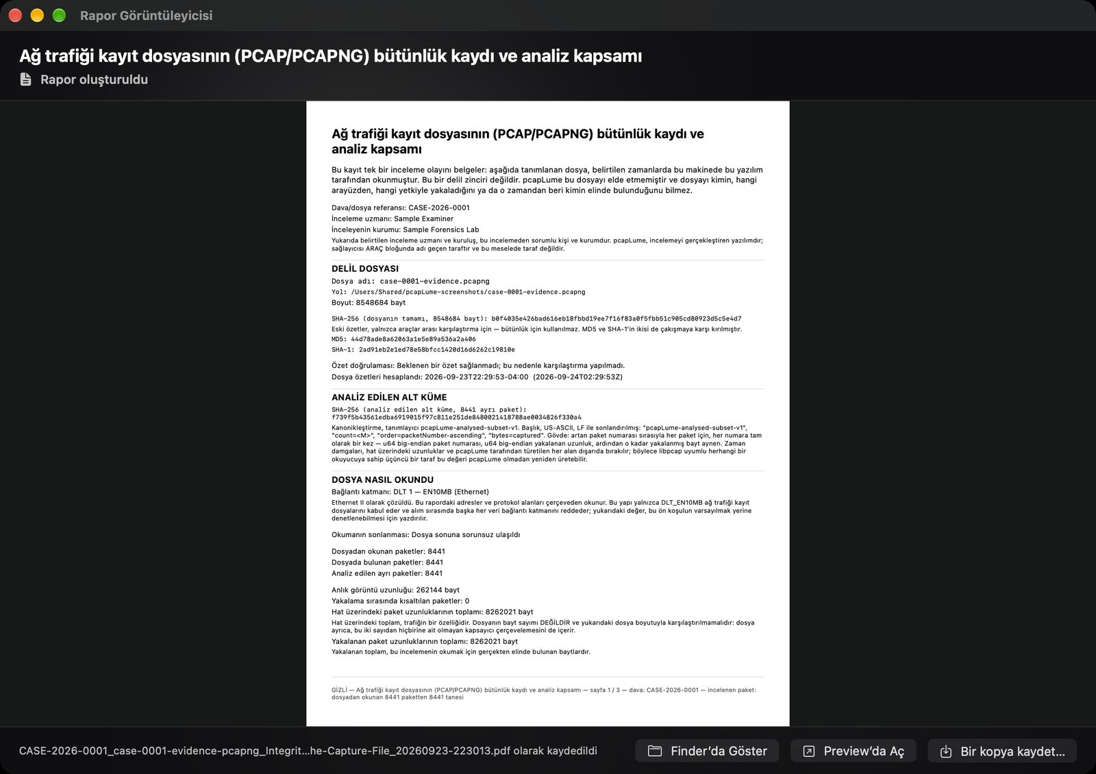 pcapLume Integrity Record report screenshot