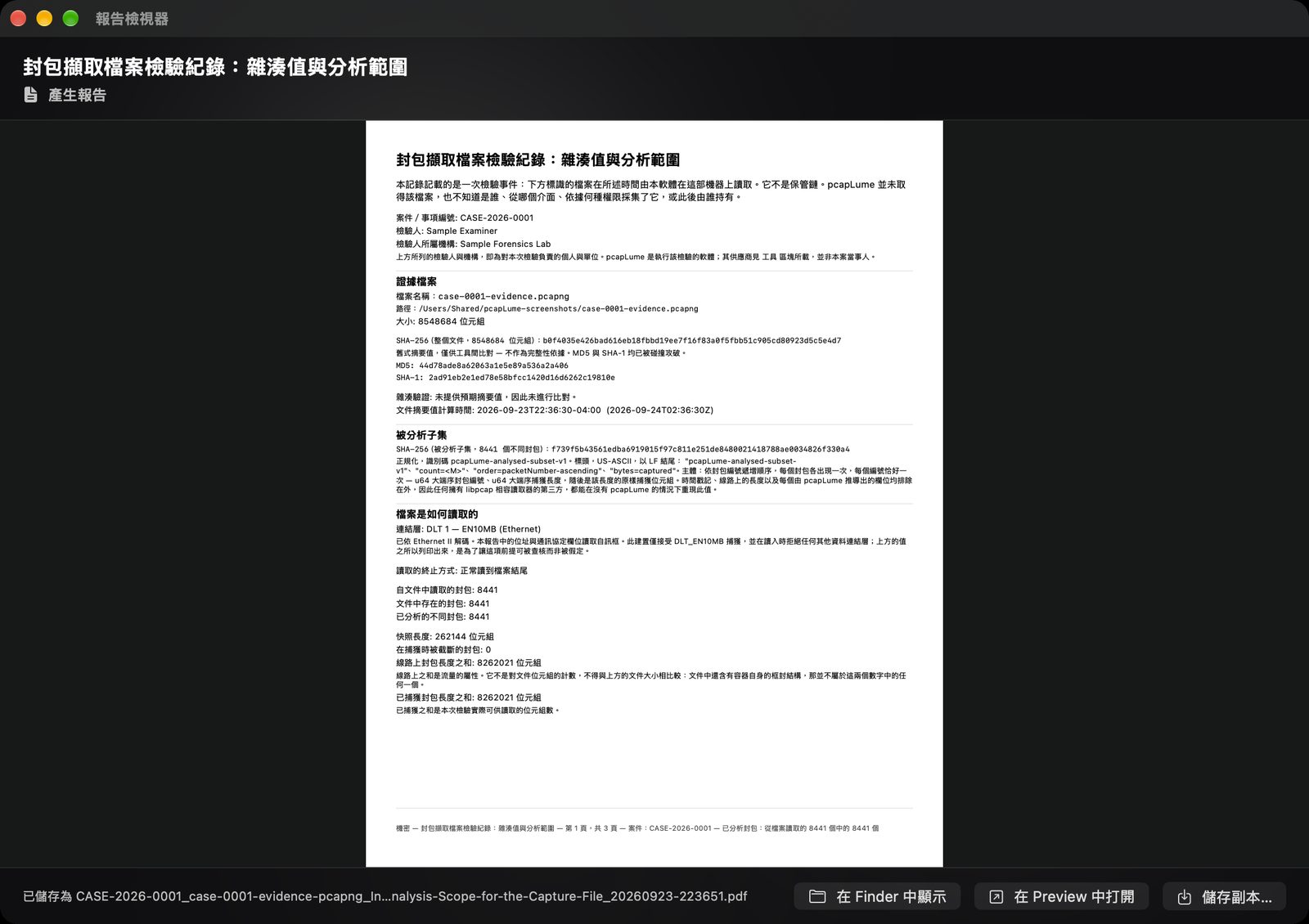 pcapLume Integrity Record report screenshot